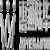 大护法